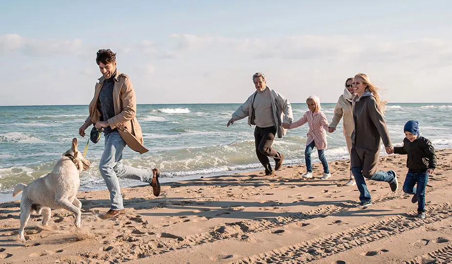גולד 360 - ביטוח והשקעות